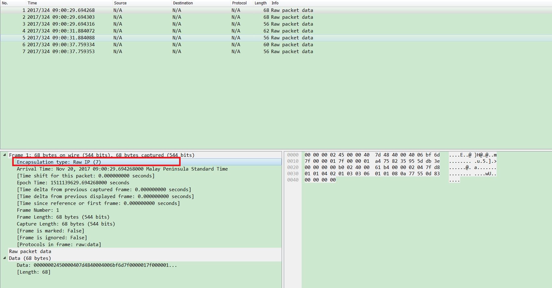 ping loopback packet info